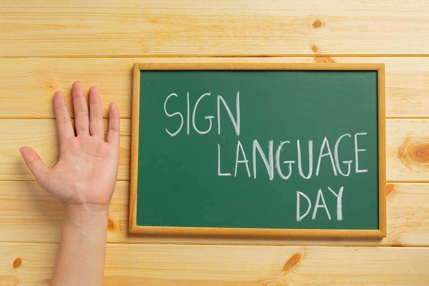 International Day Of Sign Languages For Real Visionaryblog